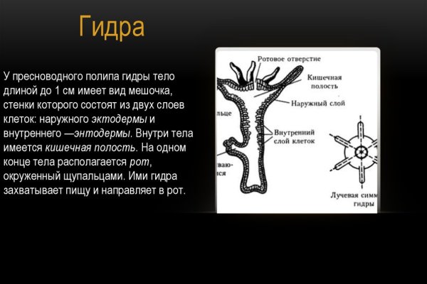 Где взять ссылку на кракен