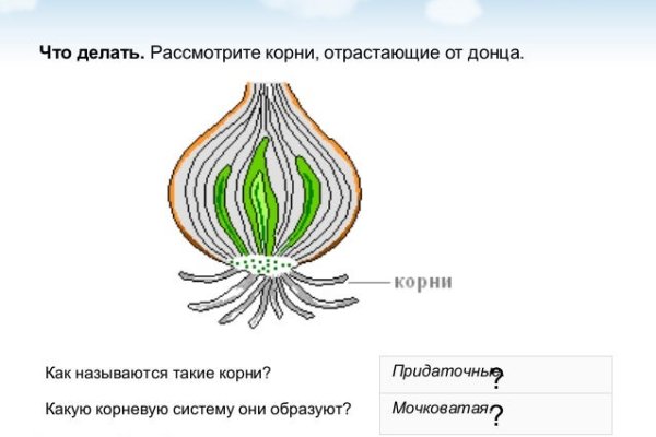 Kraken сайт kraken clear com